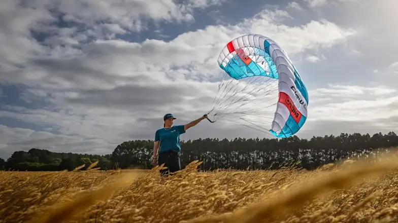 Flow D Wing 4.2 M.webp